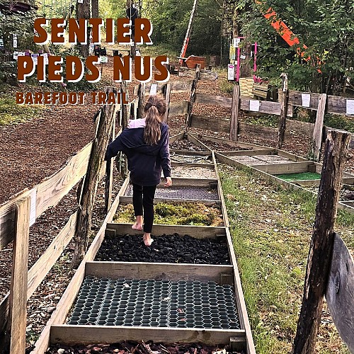 Aire de pique nique ombragée - 6