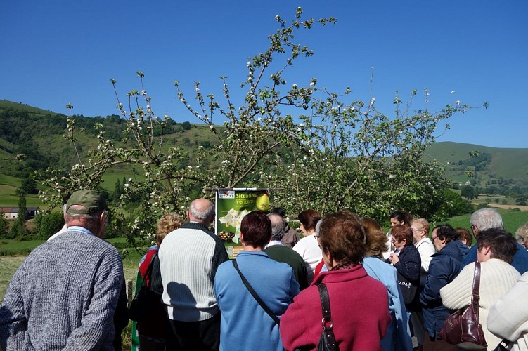 Cooperative cidre Eztigar 64120 St Just Ibarre (1)