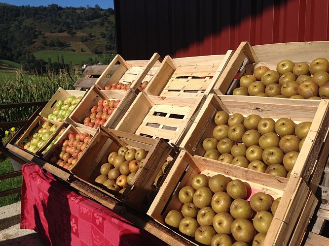 Cooperative cidre Eztigar 64120 St Just Ibarre (13)