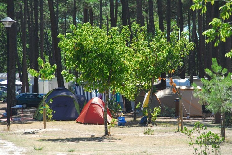 Camping Les Oyats