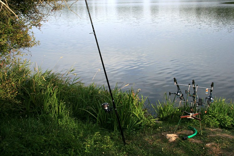 Pêche à l'étang de la Grande Cazine
