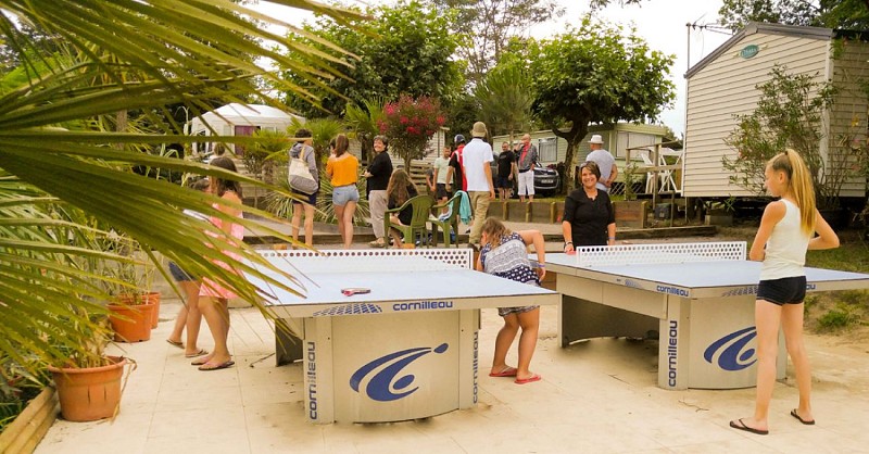 les platanes st geours3