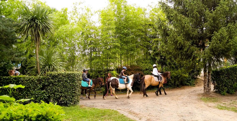 les platanes st geours4