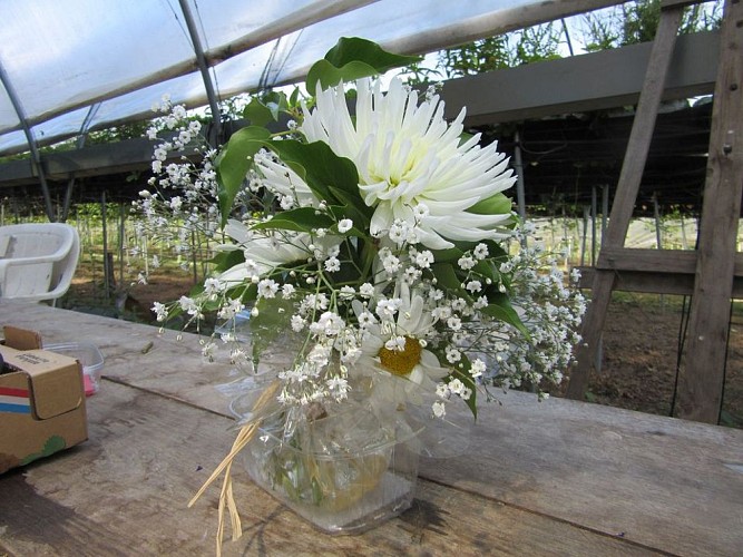 Le Coudert des Charmilles