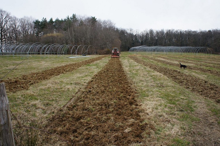 Le Coudert des Charmilles_1