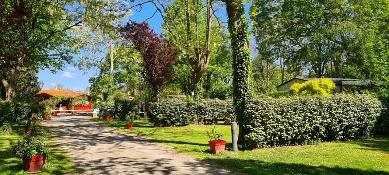 20240420_115445-1732800966684