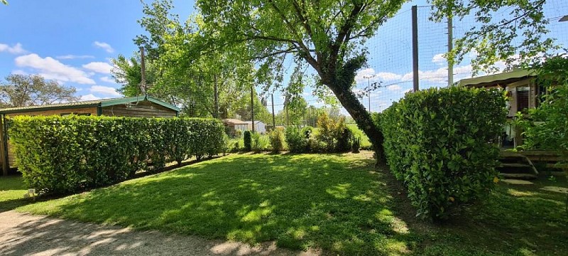 20240420_130247-1732800968263