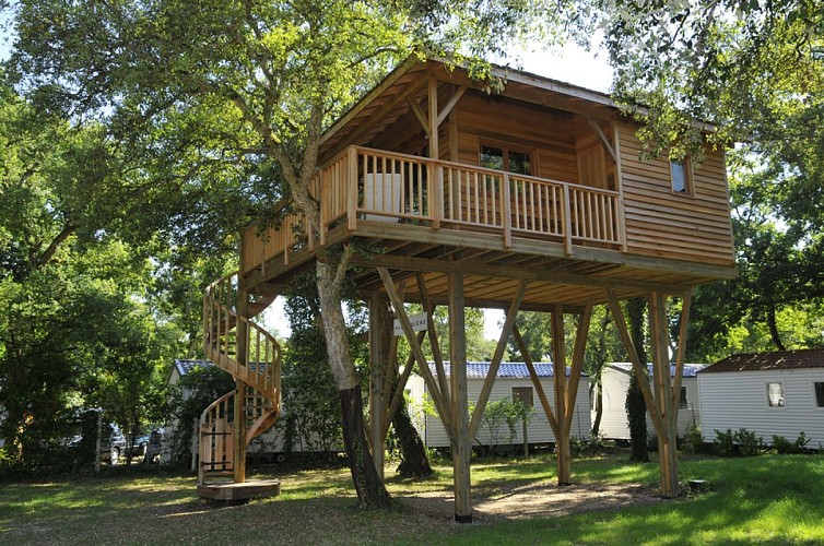 SYLVAMAR.-Landes Atlantique Sud cabane perchée -