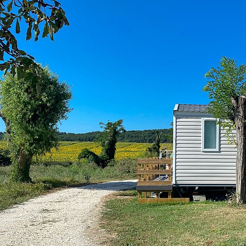 Parc Saint Vincent (4)