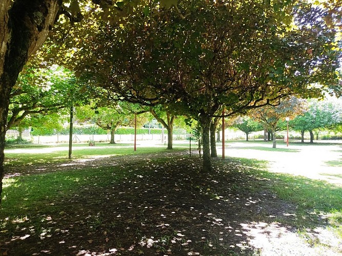 Camping Les Platanes 1