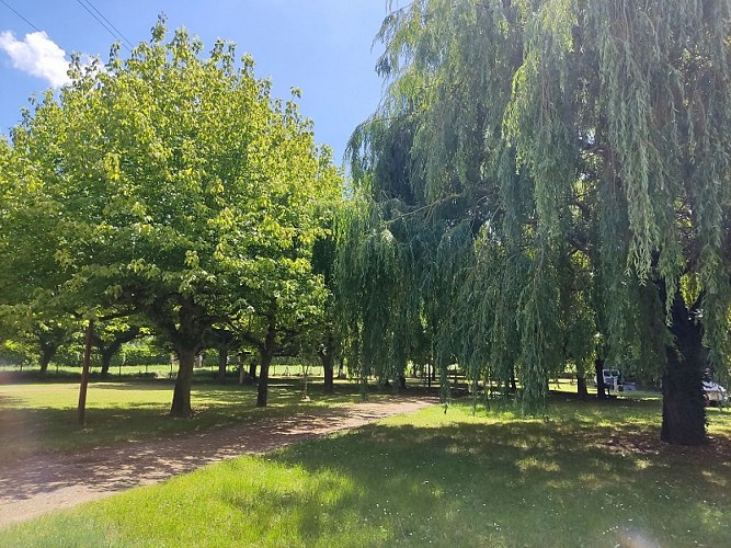 Camping Les Platanes