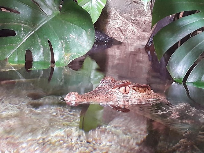 Aquarium du Limousin