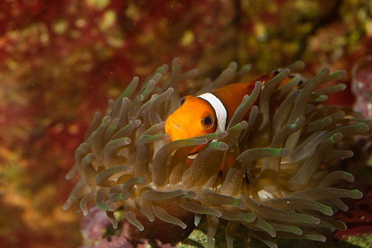 Aquarium du Limousin