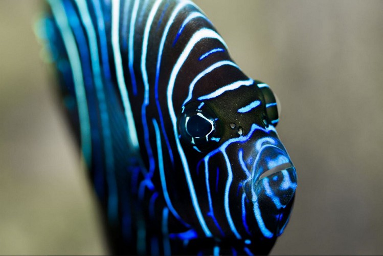 Aquarium du Limousin_1