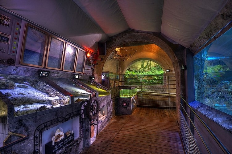 Aquarium du Limousin_2