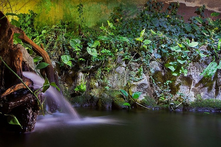 Aquarium du Limousin_5