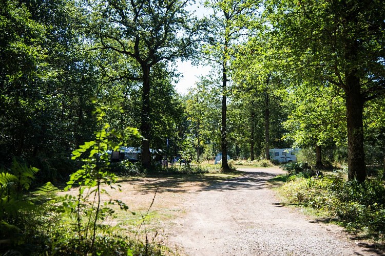 Camping le Bois de Saint-Hilaire