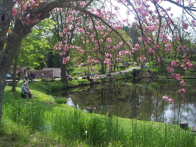 pisciculture du moulin authier coussac bonneval_1