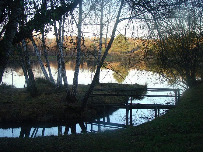 Etang de pêche 'Les Pierres du Mas' La Porcherie