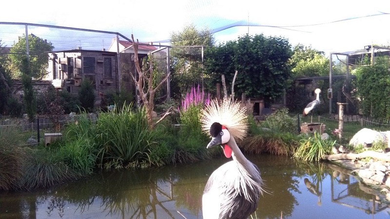Jardin Zoologique Bellachon