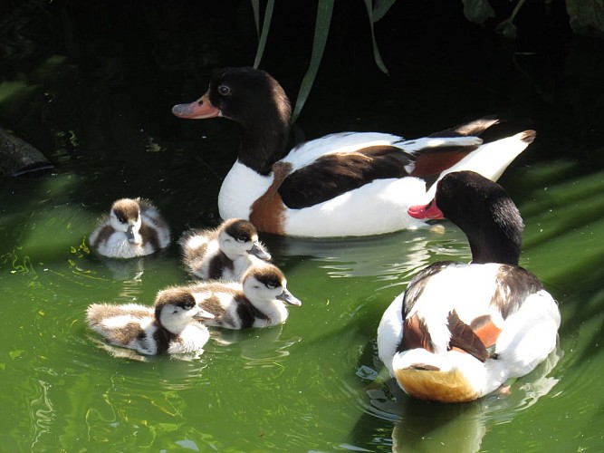 Jardin Zoologique Bellachon