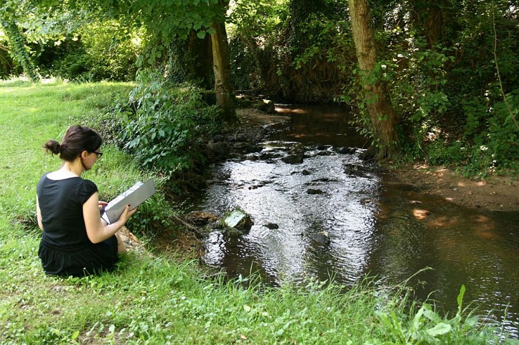 Camping de l'Allochon