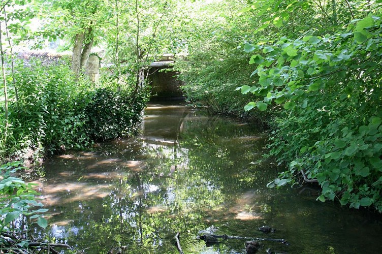 Camping de l'Allochon