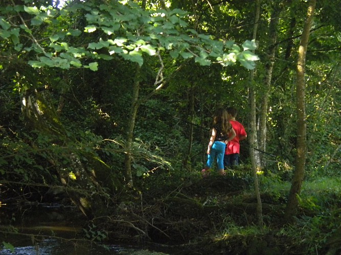 Camping de l'Allochon