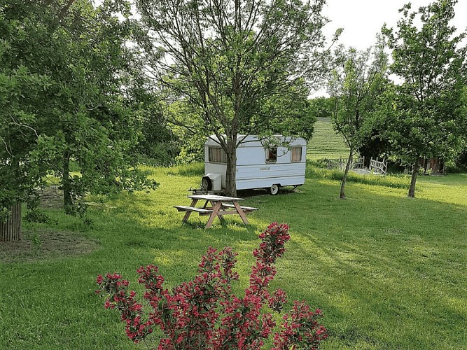 La Petite Houmée - 1