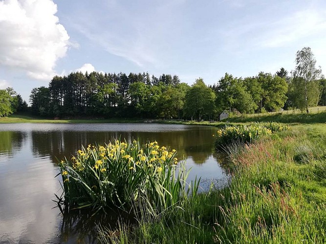 camping insolite étang La Croisille sur Briance