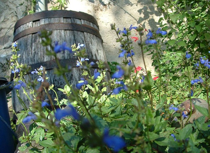 retouches photos Tourinsoft - 6