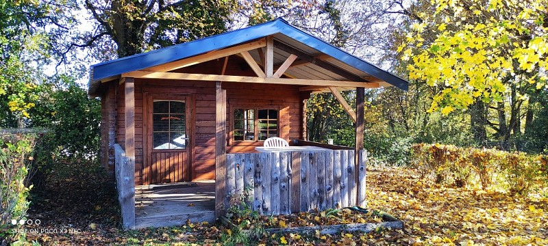 IMG_20231123_111330_Original