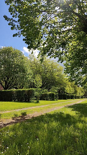 Camping de Beaufort - Emplacement
