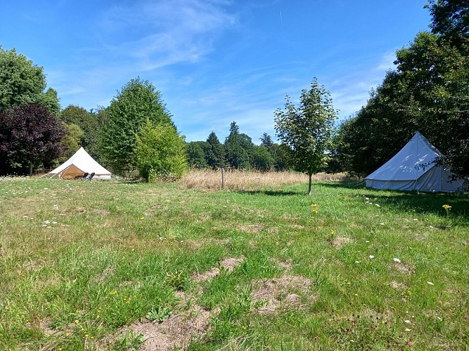 credit Marlene Forster (3)