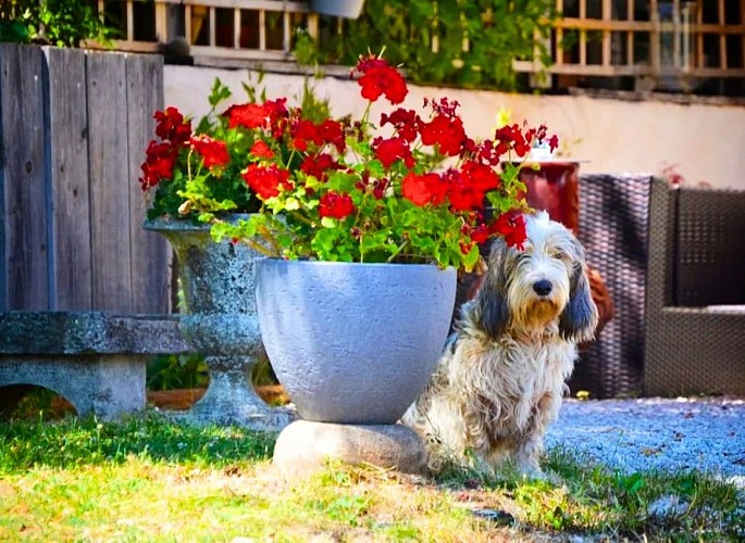 retouches photos Tourinsoft - 4