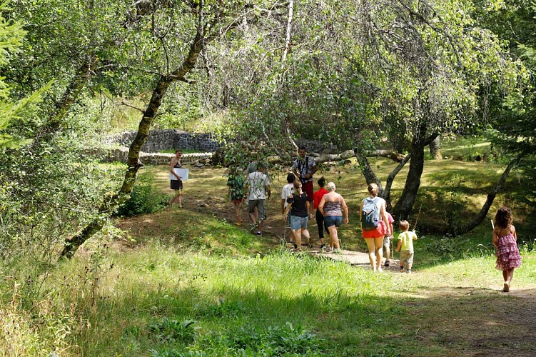 Vestiges gallo-romains des Cars