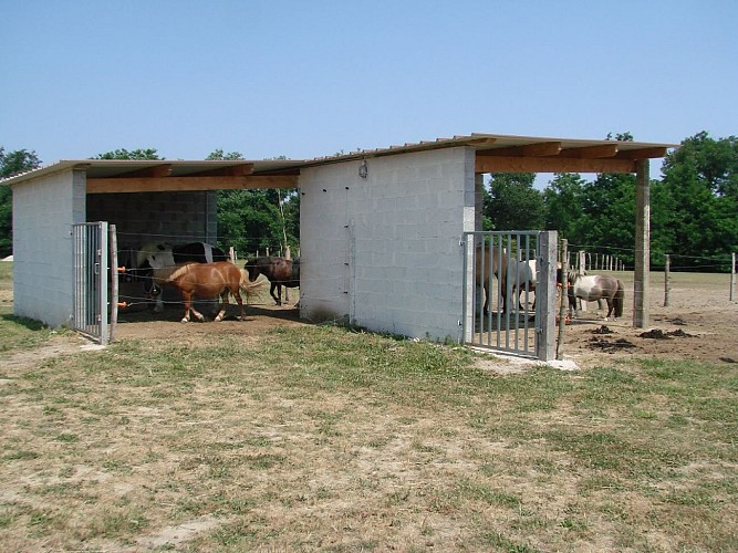 Centre équestre La Houn - poney