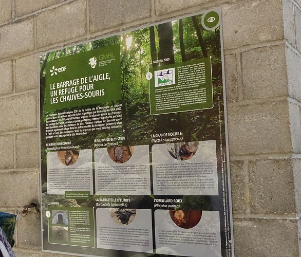 jrencontredecouverteotchc©otchc2017_(9)