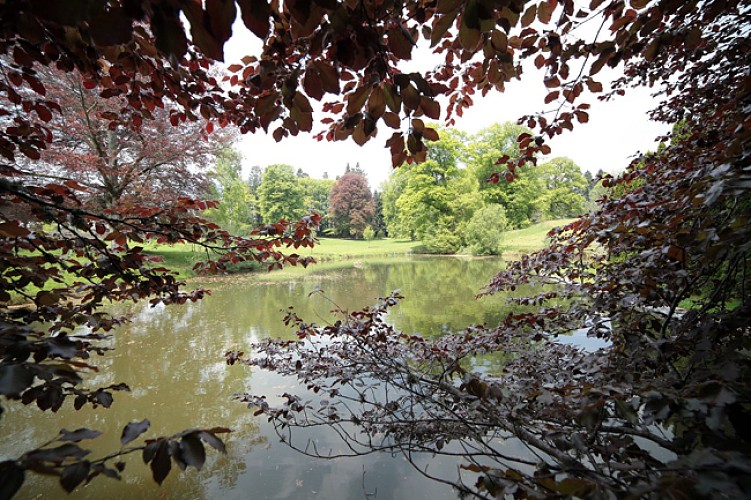 Arboretum du Château de Neuvic d'Ussel_3