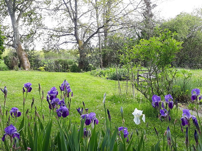 Le Jardin d'Arsac_14