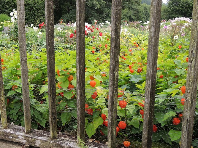 Domaine de Banizette 1 ©Aubusson Felletin Tourisme