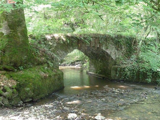 Le Pont gallo-romain et l’aqueduc du Bois Ferrut à Linard_1