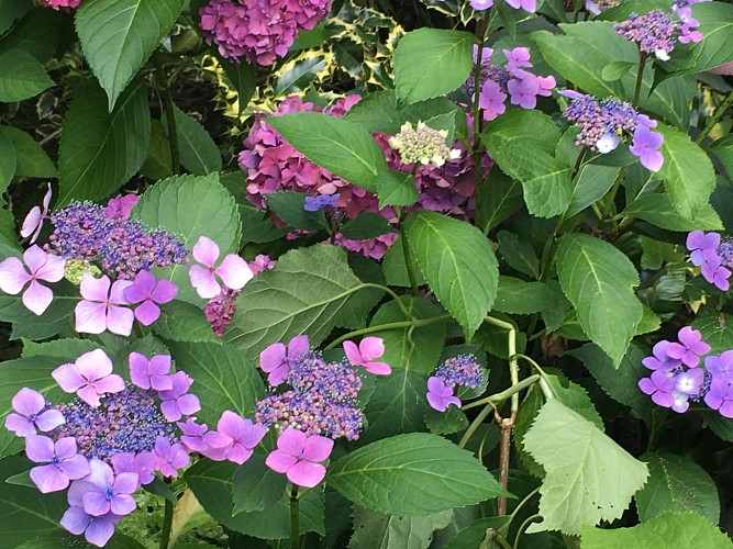 Jardin Les Gargalhous_2