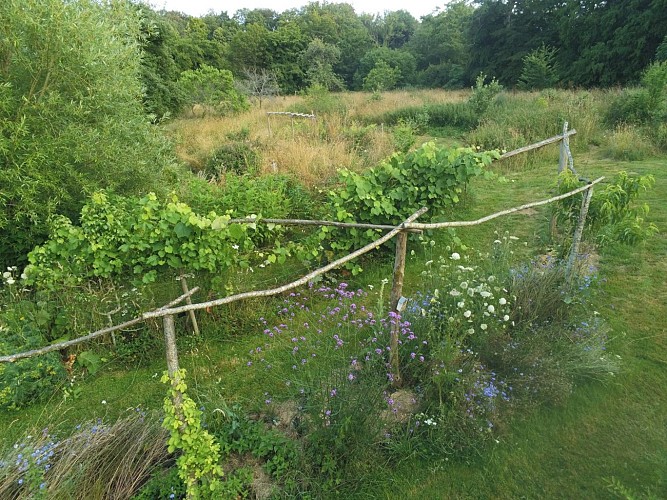au jardin des harmonies