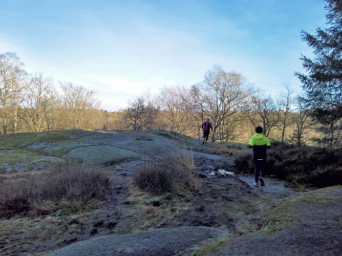 Course et manifestation UniVert Trail 1