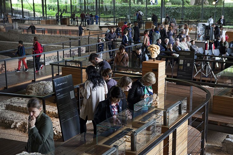 musee gallo romain perigueux©OTI Grand Perigueux (6)