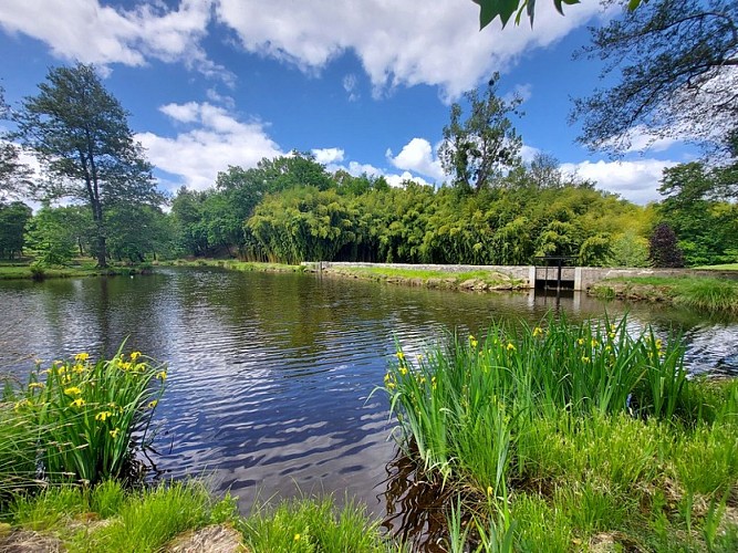 Parc du Château Royal de Cazeneuve - Bambouseraie