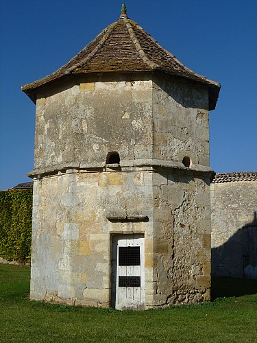 ©Chateau_Couloumey_2017 (4)