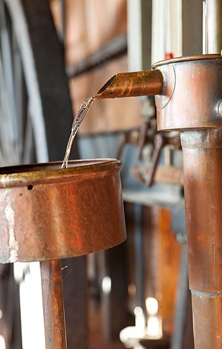 Ecomusée de l'Armagnac_2