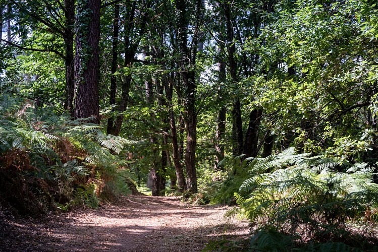 Taller_ESP7438_Yohan_ESPIAUBE